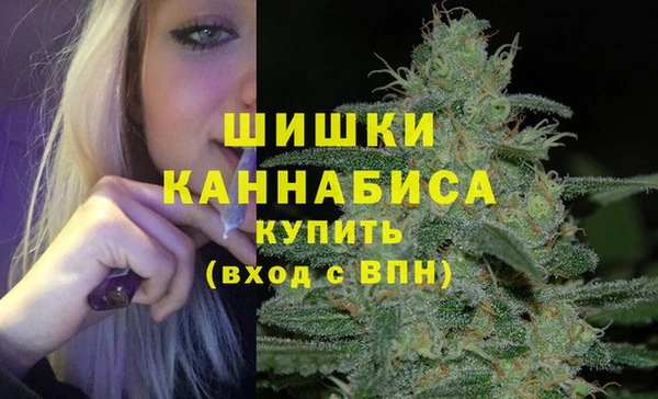 молекула духа Лиски