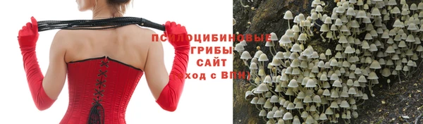 метадон Липки