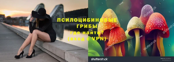 молекула духа Лиски