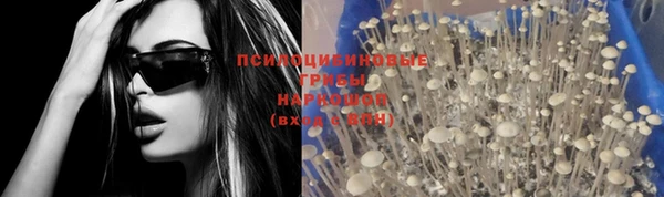 молекула духа Лиски