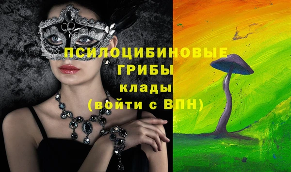 молекула духа Лиски
